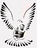 Projet congo-logo copy